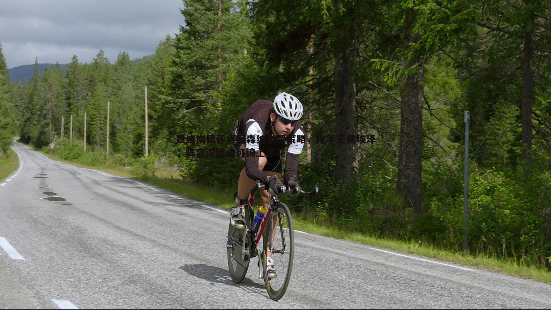 evo视讯真人-费迪南德评点阿森纳引援策略，枪手无需埃泽，阵容深度或可锦上添花