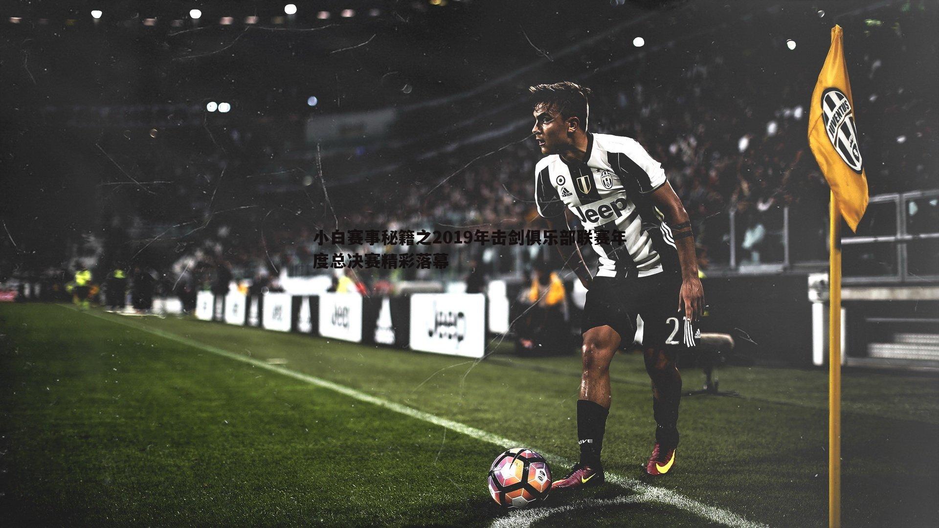 小白赛事秘籍之2019年击剑俱乐部联赛年度总决赛精彩落幕